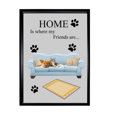 Cat and Dog Friends Framed Print