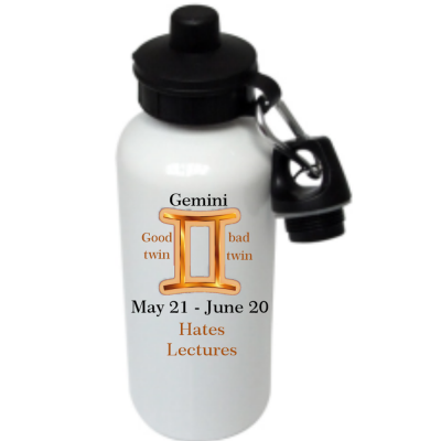Star Sign Water Bottle Gemini