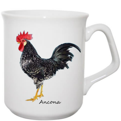Ancona mug
