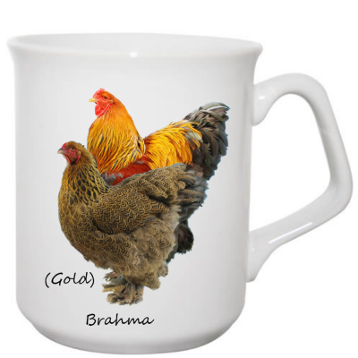 Brahma Mug