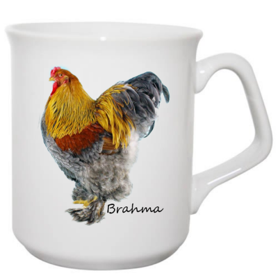 Brahma mug
