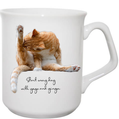 Cat Mug Yoga and Ginger