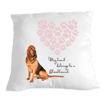 Bloodhound My heart belongs to cushion
