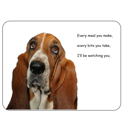 Basset Hound Novelty Sign...I'll be watching you