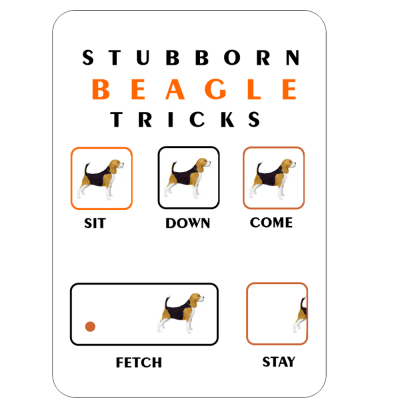 Beagle Novelty Sign ...Tricks