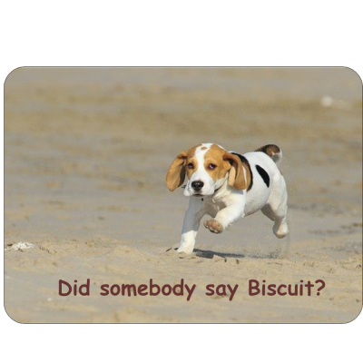 Beagle Novelty Sign