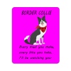 Border Collie Novelty Sign, Every meal you make...