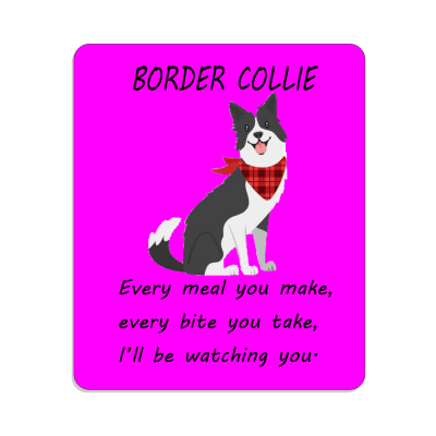 Border Collie Novelty Sign, Every meal you make...