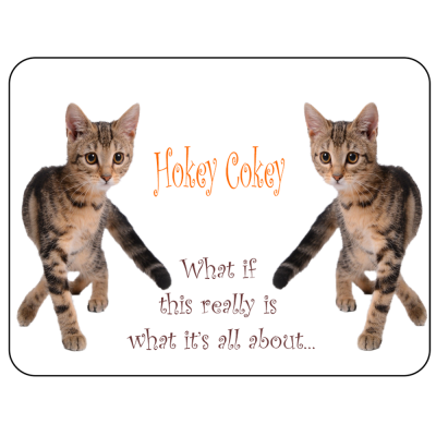 Cat Novelty Sign Hokey Cokey