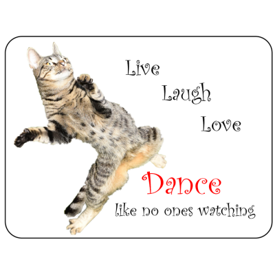 Cat Novelty Sign Dance like no ones watching