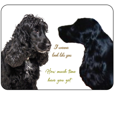 Cocker Spaniel Novelty Sign A question of time