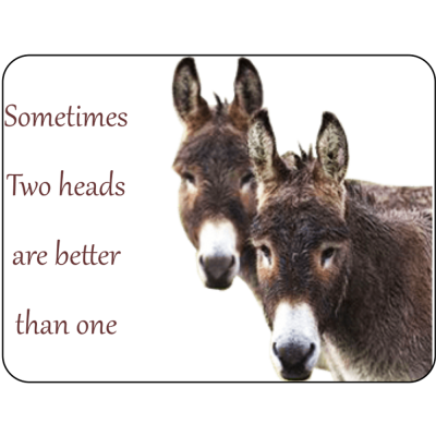 Donkey Novelty Sign Two Heads