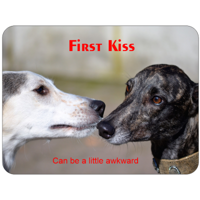 Greyhound Novelty Sign ...First Kiss
