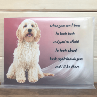 Labradoodle Novelty Sign, When you can't hear...