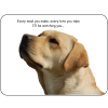 Labrador Novelty Sign I'll be watching you Y