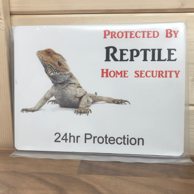 Lizard Novelty Security Sign