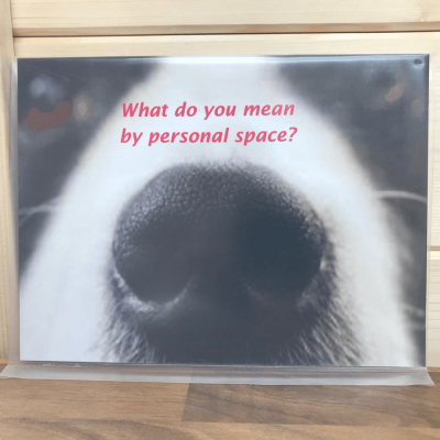 Personal Space Dog Novelty Sign