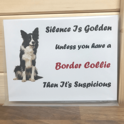 Border Collie Novelty Sign, Silence is golden...