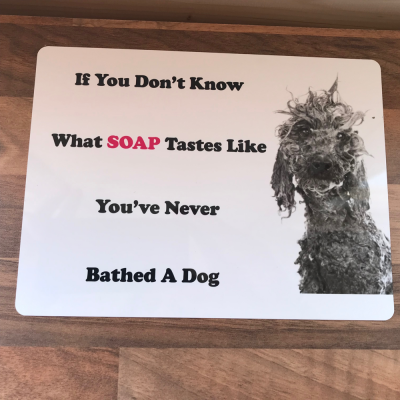 What Soap Tastes Like Novelty Sign