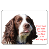 Springer Spaniel Novelty Sign I'll be watching you