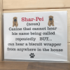 Shar Pei Novelty Sign (noun)