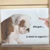 Bulldog /Puppy Novelty Sign