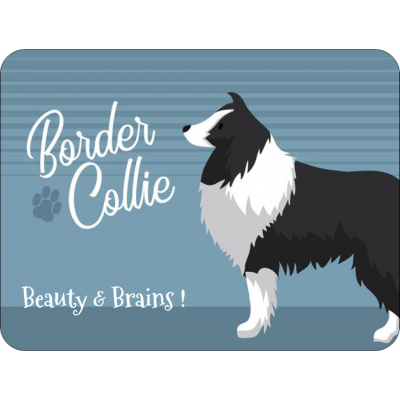 Border Collie Novelty Sign The Brains