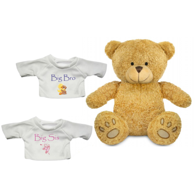 Keepsake Teddy for New Big Brother or Sister
