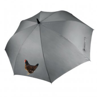Dorking Design Umbrella