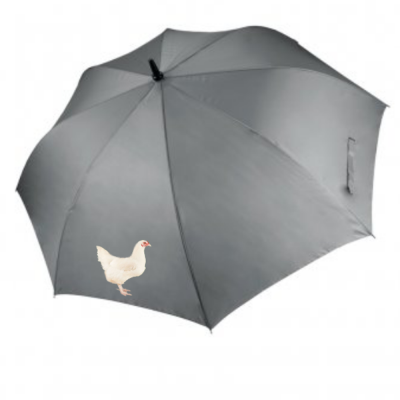 Ixworth Design Umbrella