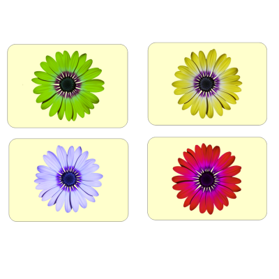 Daisy Print Placemats Set of 4