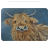 Highland Cow Placemats set of 4