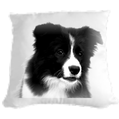 Border Collie cushion/pillow