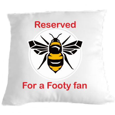 Football fan Cushion Pillow Fun cushion gift idea Brentford supporter