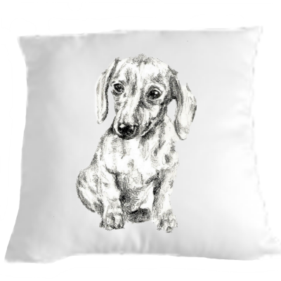 Dachshund Cushion/Pillow ...Pup