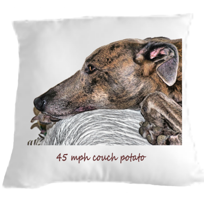Greyhound Cushion/Pillow couch potato