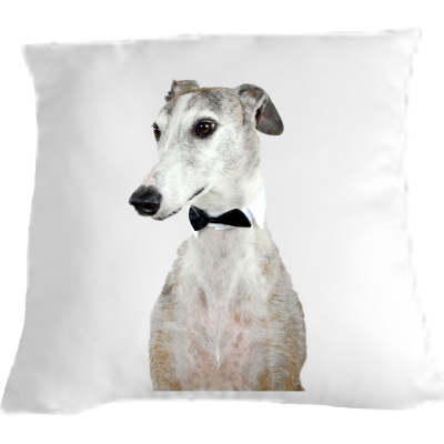Greyhound Cushion/Pillow