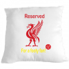 Football fan Cushion Pillow Fun cushion gift idea Liverpool liver bird footy supporter