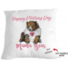 Mothers Day Mama Bear cuddle cusion