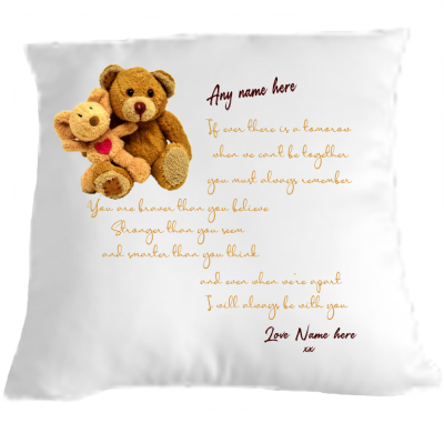 Teddy Bear Cushion/Pillow
