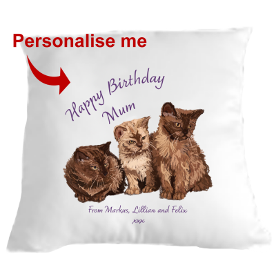 Happy Birthday Kitten Cushion