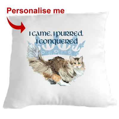 Cat Cushion I came I purred I conquered